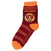 5 Paar Harry Potter Socken im Set