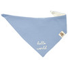 2 Baby Bandanas Born 2027