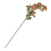 Kunstblume Trachelium