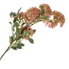 Kunstblume Trachelium