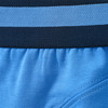 3 Jungen Boxer mit Dino-Motiven 