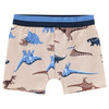 3 Jungen Boxer mit Dino-Motiven 