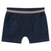 3 Jungen Boxer mit Dino-Motiven 