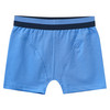 3 Jungen Boxer mit Dino-Motiven 