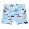 5 Jungen Boxer in verschiedenen Dessins