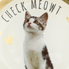 Kleiner Deko-Teller mit Katzen-Motiv