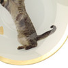 Kleiner Deko-Teller mit Katzen-Motiv