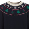Herren Weihnachtspullover mit Motiven