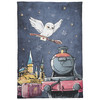 Harry Potter Wendebettwäsche 135 x 200 cm