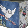 Harry Potter Aufbewahrungsbox