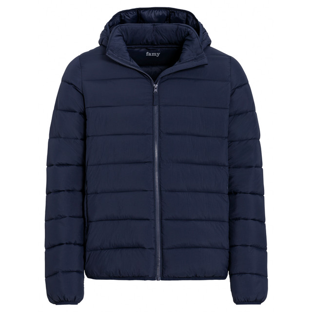 Herren Steppjacke