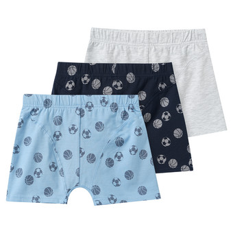 3 Jungen Boxer in verschiedenen Dessins