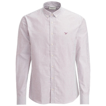 Herren Hemd mit Button-down-Kragen