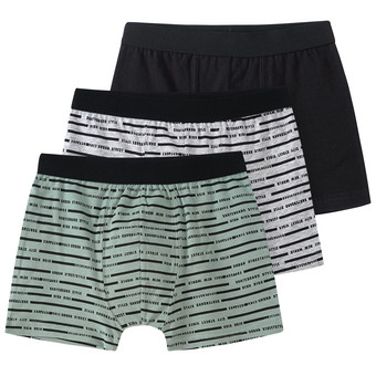 3 Jungen Boxer im Set