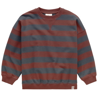 Jungen Sweatshirt aus Bio-Baumwolle