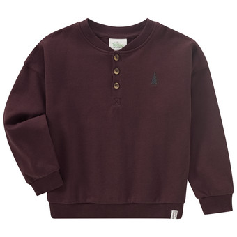 Jungen Sweatshirt mit kleiner Stickerei