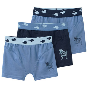 3 Jungen Boxer in verschiedenen Dessins