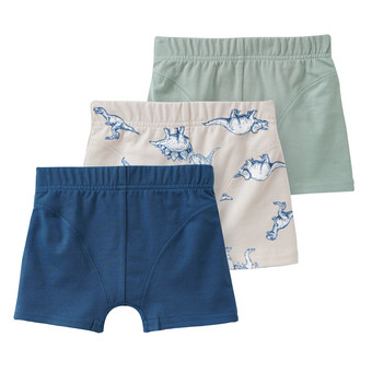 3 Jungen Boxer im Set