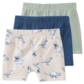3 Jungen Boxer im Set