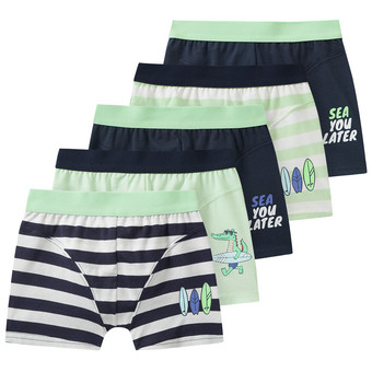 5 Jungen Boxer im Set