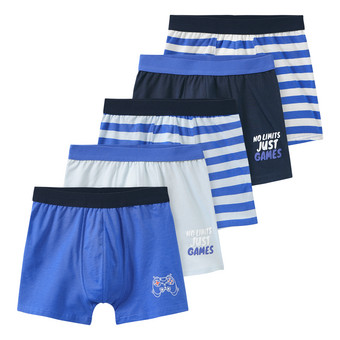 5 Jungen Boxer im Set