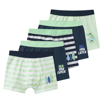 5 Jungen Boxer im Set
