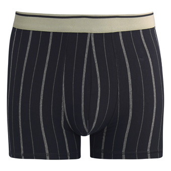Herren Retroshorts mit Streifen