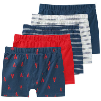 5 Jungen Boxer im Set