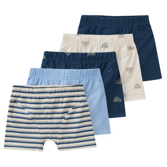 5 Jungen Boxer im Set