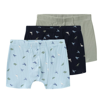 3 Jungen Boxer mit Dino-Motiven
