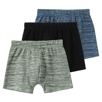 3 Jungen Boxer in verschiedenen Dessins