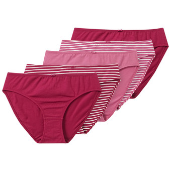 5 Damen Slips im Set