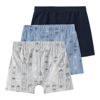 3 Jungen Boxer in verschiedenen Dessins