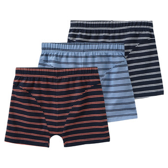 3 Jungen Boxer im Set