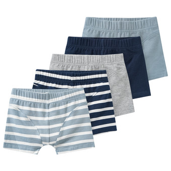 5 Jungen Boxer im Set