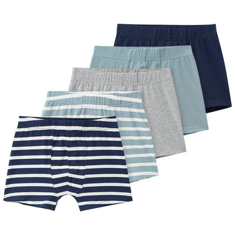 5 Jungen Boxer im Set