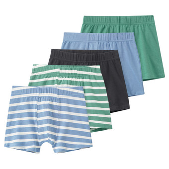 5 Jungen Boxer im Set