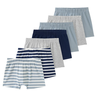 7 Jungen Boxer im Set