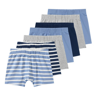 7 Jungen Boxer im Set
