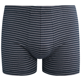 Herren Retroshorts mit Streifen