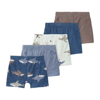 5 Jungen Boxer mit Hai-Motiven