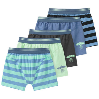 5 Jungen Boxer im Set