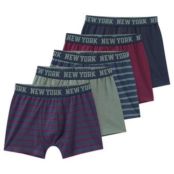 5 Jungen Boxer im Set