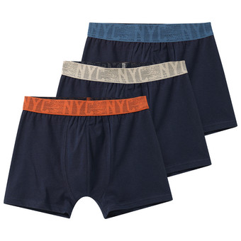 3 Jungen Boxer im Set