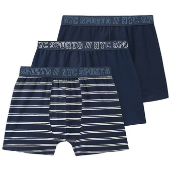 3 Jungen Boxer mit Webbund