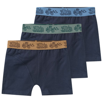 3 Jungen Boxer mit Baufahrzeugen