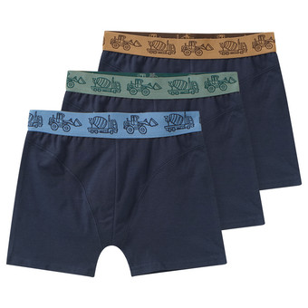 3 Jungen Boxer mit Baufahrzeugen