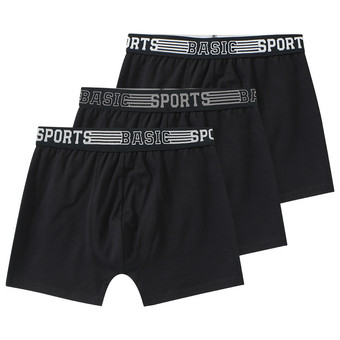 3 Jungen Boxer mit elastischem Webbund