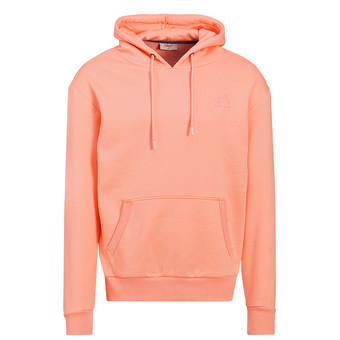 Herren Hoodie mit Stickerei
