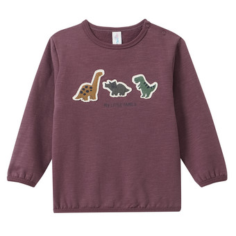Baby Sweatshirt mit Dino-Applikation
